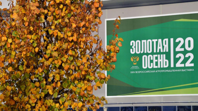 УЧАСТИЕ В ВЫСТАВКЕ «ЗОЛОТАЯ ОСЕНЬ-2012»