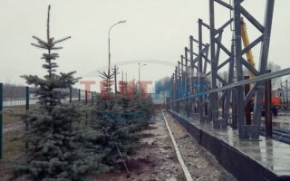 Сдача ангара 18 х 56 (стена/конек) 4.5 / 9.5 м